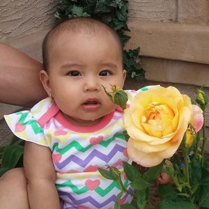 Meet your Posher, Ana